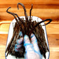 'WONKY' Madagascan Vanilla Pods - 200 grams