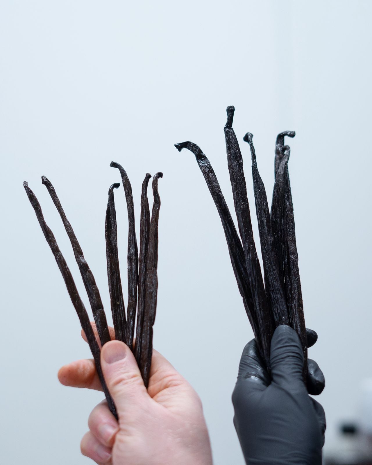 1 Kilo Large Madagascan Bourbon Vanilla Pods