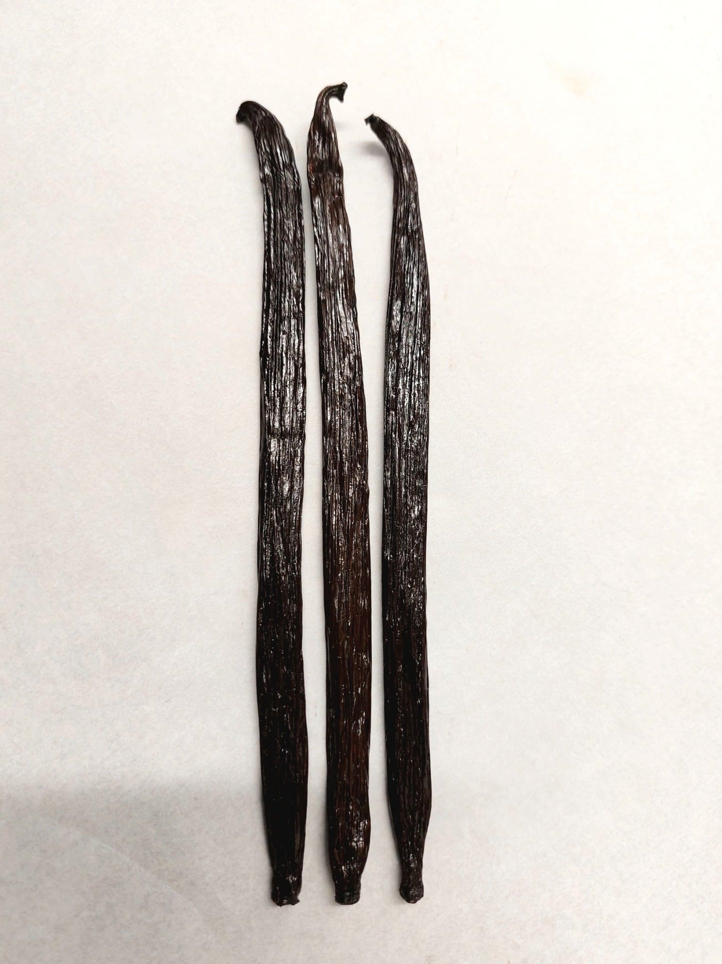 Indonesian Tahitensis Vanilla