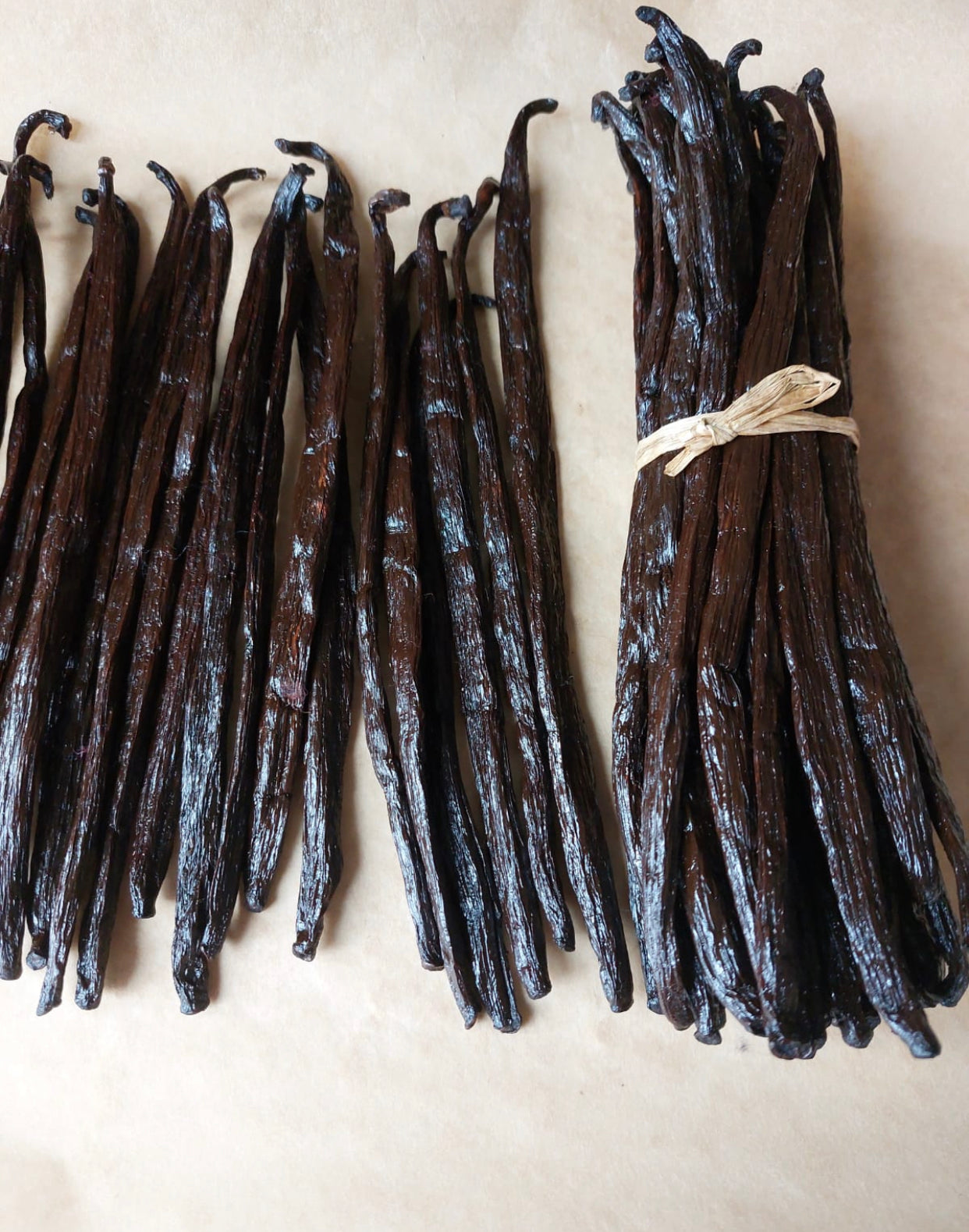 1 Kilo Large Madagascan Bourbon Vanilla Pods