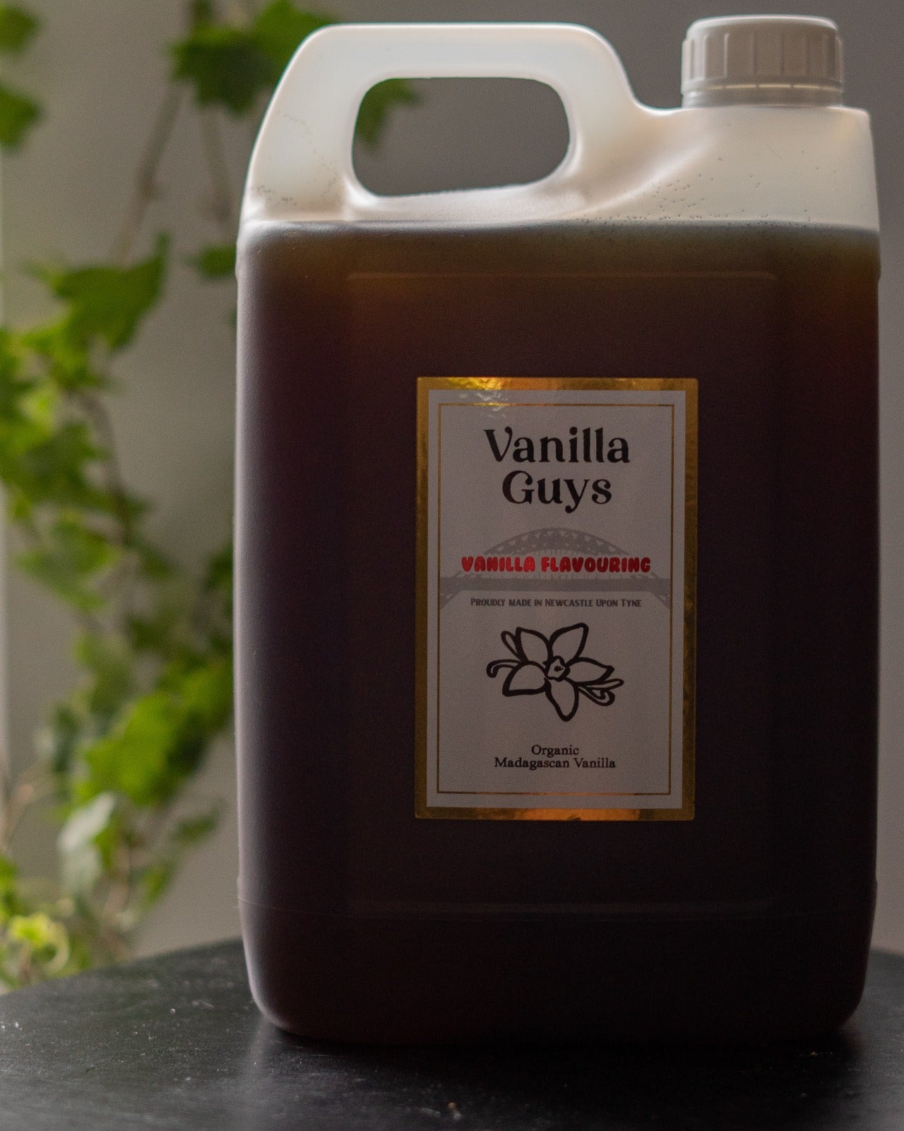 5 Litre Madagascan Vanilla Flavouring